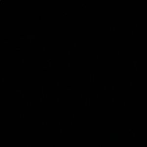 Meet your Posher, Amelia